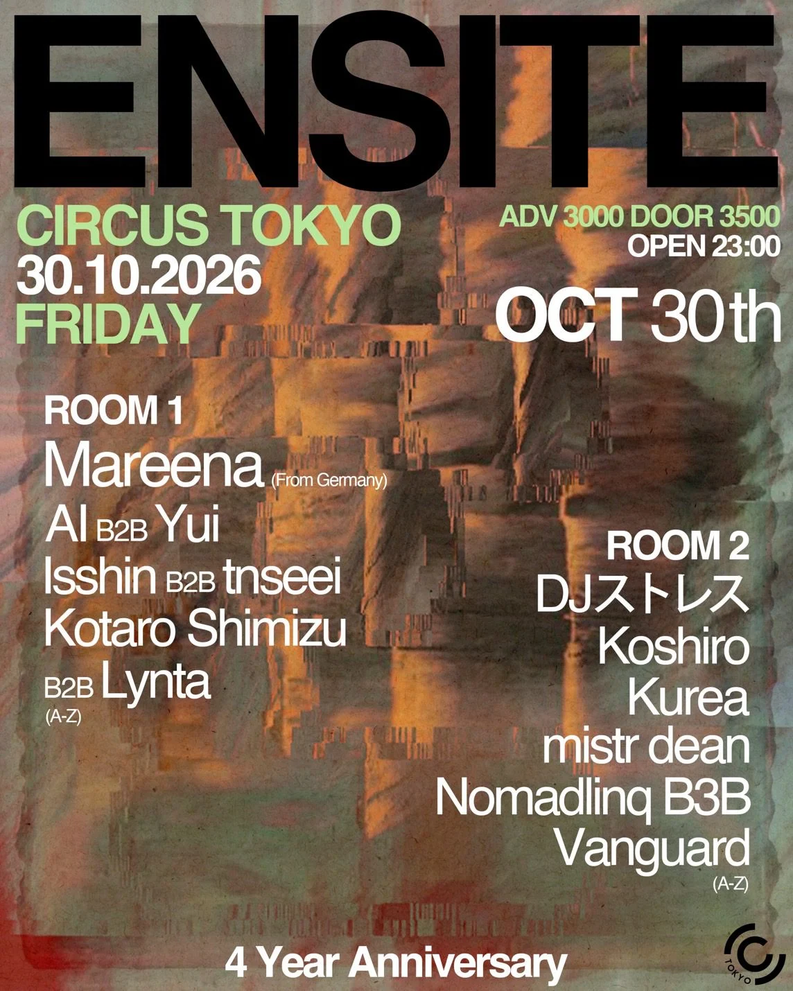 ENSITE 4 Year Anniversary のフライヤー