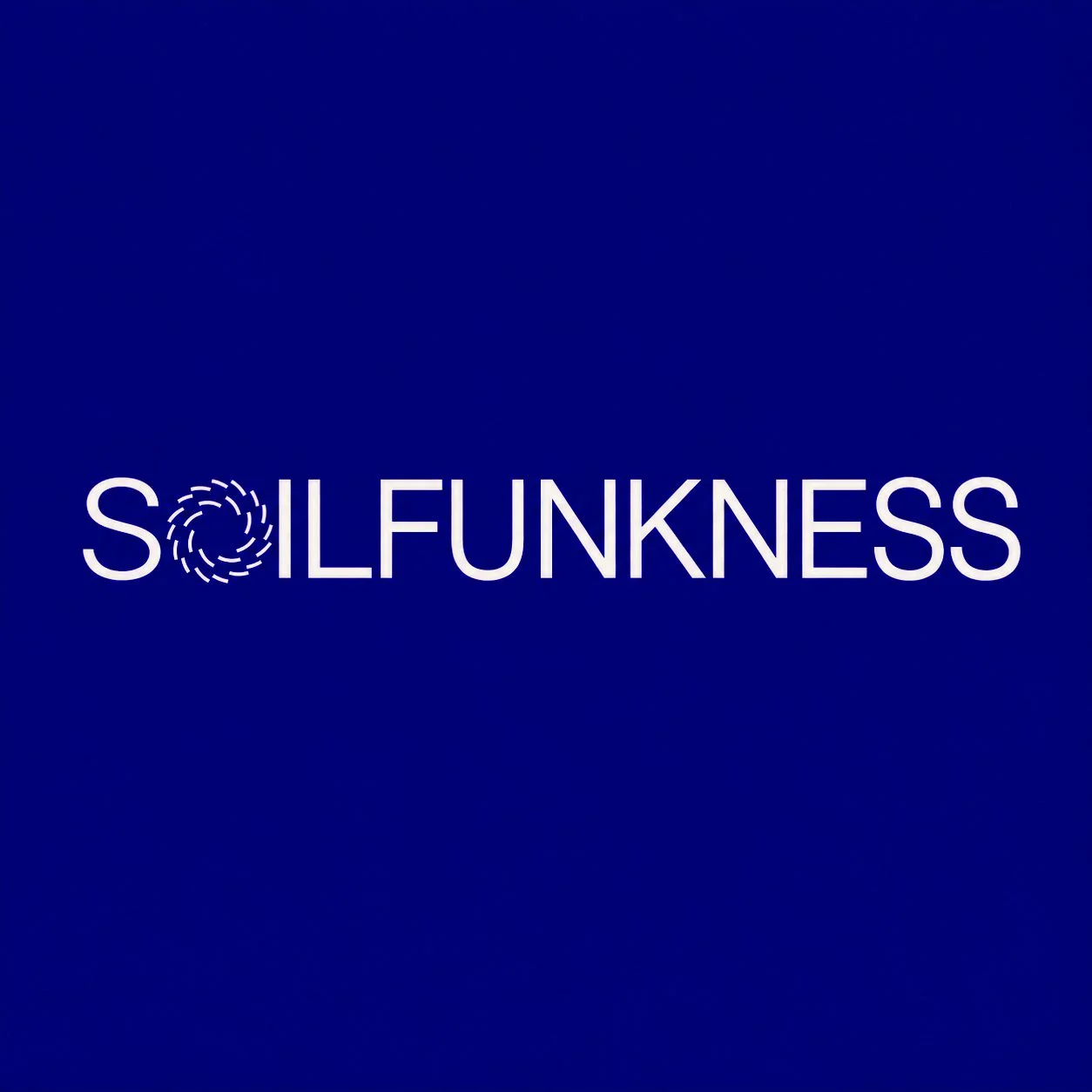 SOILFUNKNESS のフライヤー