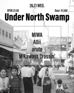 Under North Swamp